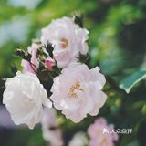 在开心农场能干啥