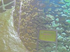 -英西峰林九重天景区