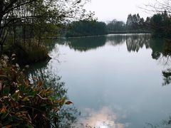 -西溪国家湿地公园