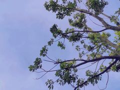 -东钱湖旅游度假区