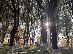 -昆山城市公园