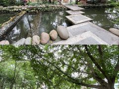-成都市活水公园
