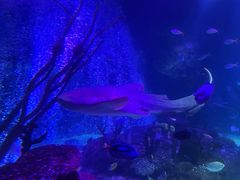 -沈阳海洋探索中心