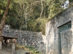 -都江堰中华大熊猫苑