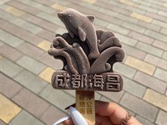 -海合安成都极地海洋公园