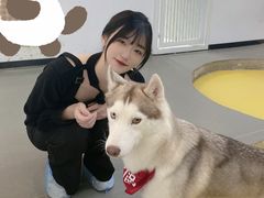 -Husky Go! 哈士奇体验馆·宠物咖啡厅狗咖