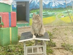 -青藏高原野生动物园
