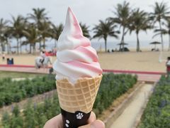 -玫瑰海岸文化旅游度假区