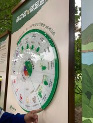 -大望京儿童游乐场