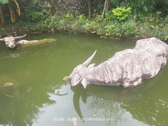 -燊海井