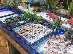 -李氏圣鲸大型自助餐