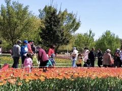 -长春公园(普阳街道)