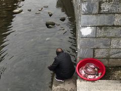 -羊楼洞