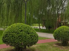 -咸阳湖景区