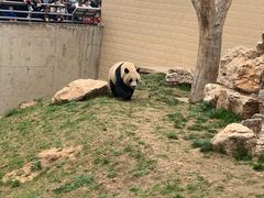 -辛玛王国游乐园