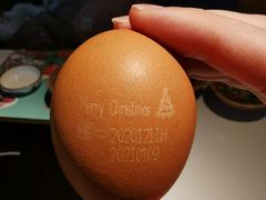 生鸡蛋-温禾牛·和牛寿喜烧自助火锅(恒基名人店)