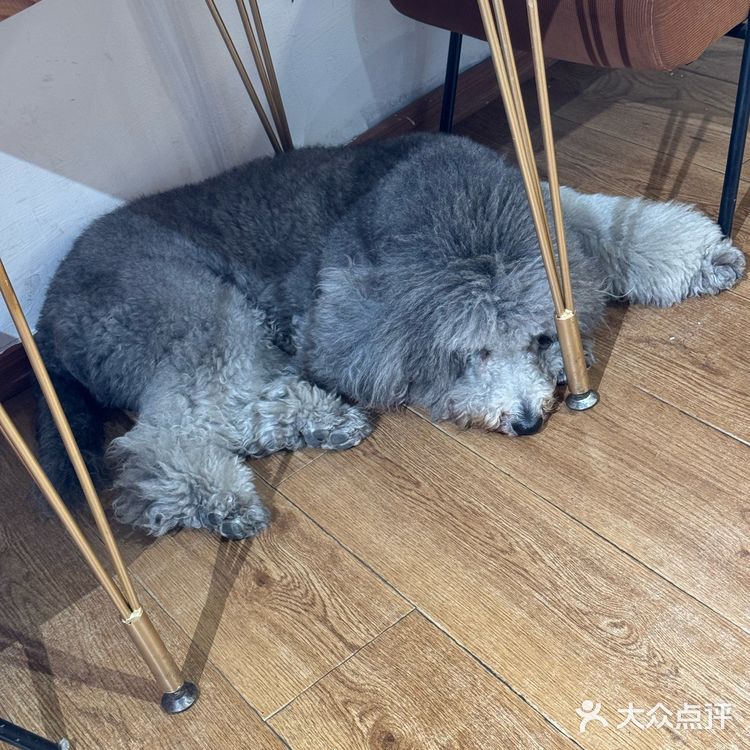暖暖的午餐组合🙋🏻♂️牛肉饭一定要配一杯热红酒🙋🏻♂️