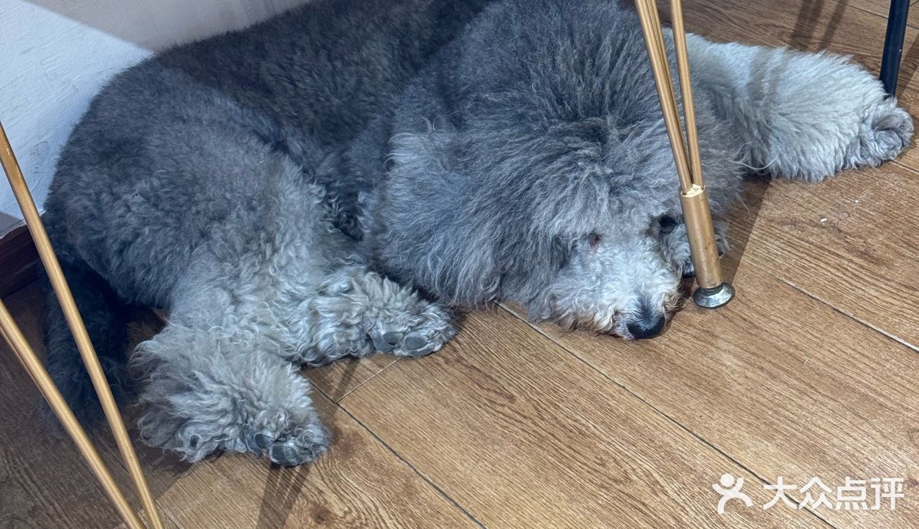 暖暖的午餐组合🙋🏻‍♂️牛肉饭一定要配一杯热红酒🙋🏻‍♂️