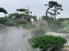 -罗红摄影艺术馆