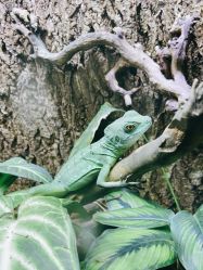 -酷嗒动物文化乐园(cutezoo西溪乐天城店)