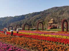 -广州市石门国家森林公园