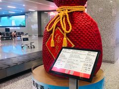 -张家界荷花国际机场航站楼-国内出发