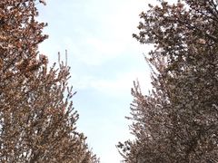 -兰陵国家农业公园