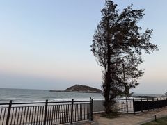 -马銮湾景区