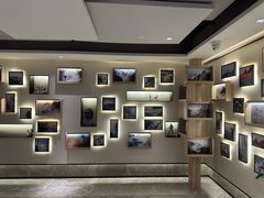 -黄山排云型旅酒店餐厅