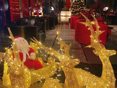 -北京索菲特大酒店