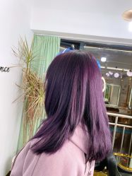 -5M+私人定制