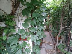 -斯多格书乡(北京大学畅春园店)