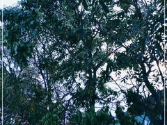 -十四涌水产中心