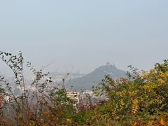 -信号山公园