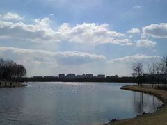 -大兴滨河森林公园