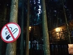-武陵山森林公园