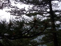 android_upload_pic-宝天曼峡谷漂流