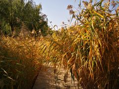 -中关村生命科学园