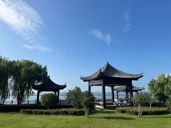 -长田漾湿地公园