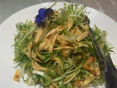 -海派美食·家宴海鲜青岛菜·石锅鲽鱼头(东方城店)