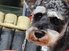 -九曲溪竹筏码头