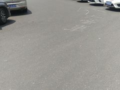 -上海滨江森林公园·停车场