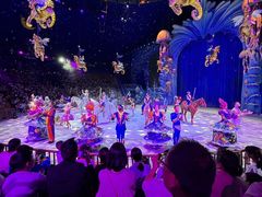 -海合安武汉极地海洋公园