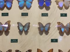 -陕西自然博物馆