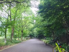 -湾里人家(旺山景区店)