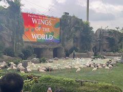 -新加坡飞禽公园
