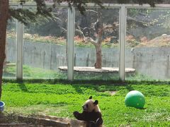 -西安秦岭野生动物园
