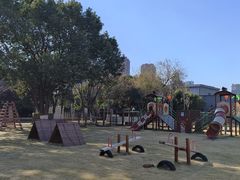 -上海松江区迪笙幼儿园