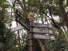 -铁山坪森林公园