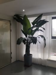 点击看大图 -春田皮肤管理中心品牌旗舰店
